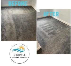 Carpet cleaning image 3