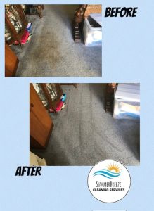 Carpet cleaning image 2
